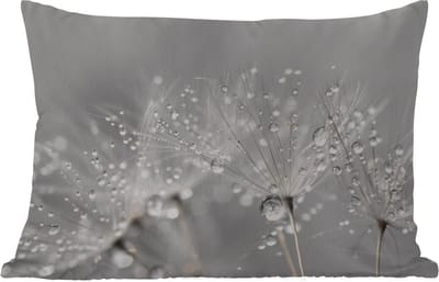 Buitenkussens - Paardenbloem - Waterdruppels - Stilleven - Modern - 60x40 cm - Weerbestendig