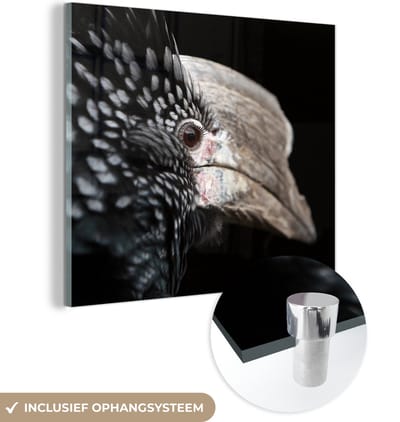 MuchoWow® Glasschilderij 50x50 cm - Schilderij acrylglas - Vogel - Snavel - Veren - Foto op glas - Schilderijen