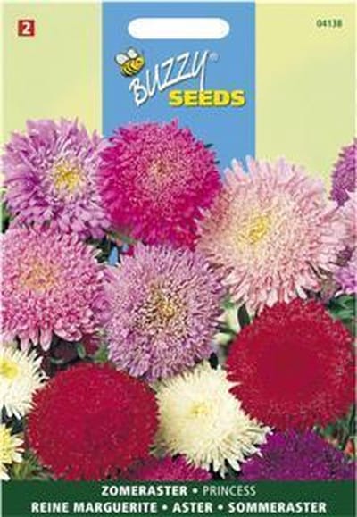 Buzzy - Zomeraster Princes Mix (Callistephus chinensis)