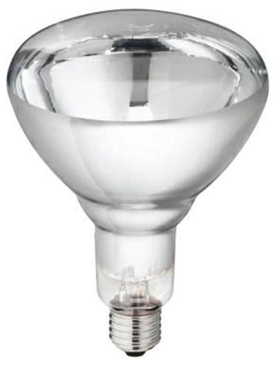 Warmtelamp Philips 250w. wit á 10 stuks.