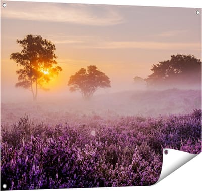 Gards Tuinposter Weide in de Veluwe bij Zonsondergang - 100x80 cm - Tuindoek - Tuindecoratie - Wanddecoratie buiten - Tuinschilderij