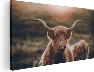 Artaza Canvas Schilderij Schotse Hooglander - 40x20 cm - Klein - Wanddecoratie Woonkamer - Muurdecoratie Dieren - Canvas Schilderij Natuur