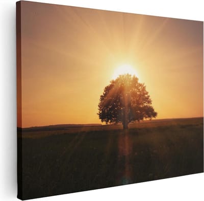 Artaza Canvas Schilderij Zonsondergang - 40x30 cm - Klein - Wanddecoratie Boom - Muurdecoratie Landschap - Kamer Accessoires Natuur
