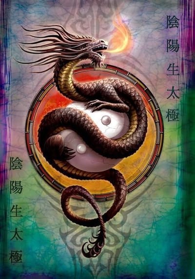 Anne Stokes Wenskaart Yin Yang Protector‎‎