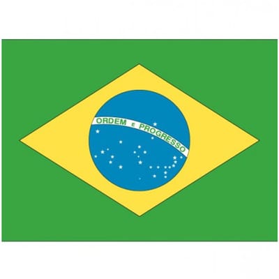 Vlag van Brazilie stickers - 7 x 10 cm - Landen - Braziliaanse vlaggetjes - versiering - feestartikelen