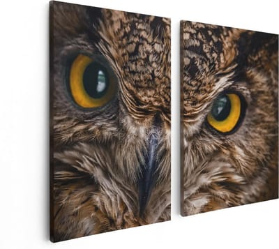 Artaza Canvas Schilderij Tweeluik Uilenkop Met Gele Ogen - Uil - 80x60 - Foto Op Canvas - Canvas Print