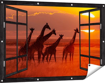 Gards Tuinposter Doorkijk Giraffe Kudde bij Zonsondergang - 120x80 cm - Tuindoek - Tuindecoratie - Wanddecoratie buiten - Tuinschilderij
