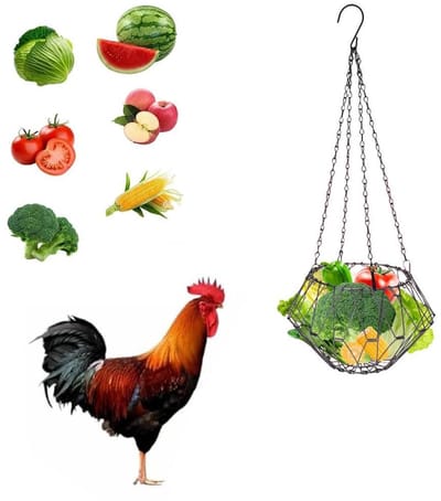 JGS Premium - Hangende voermand voor kippen en ander gevogelte - 165 cm - inclusief ketting - groentelekkernijenbal - speelgoed voor dieren - eenden en kippen - groente - fruit - accessoires