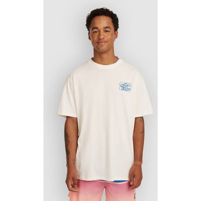 O'Neill Photo Back Print T-Shirt wit