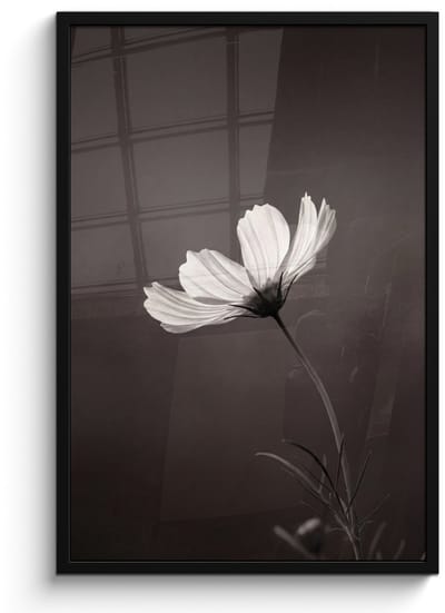 Poster in lijst - Fotolijst 60x90 cm - Posters - Bloem - Minimalistisch - Zwart - Wit - Posterlijst zwart - Decoratie - Wanddecoratie woonkamer - Muurdecoratie slaapkamer