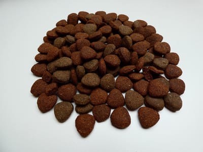 Dogs Delicious hondenbrokken hypoallergeen Super Premium Senioren Lam en Rijst 20 kg