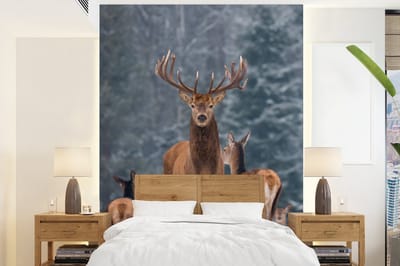 Behang - Fotobehang Hert - Winter - Sneeuw - Bosdieren - Bos - Natuur - Breedte 175 cm x hoogte 240 cm