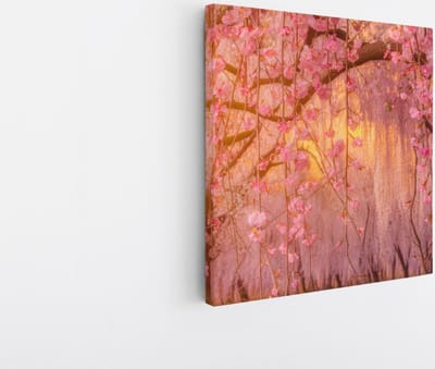 Saammp Canvas Schilderij - Roze bloesem met zonsondergang - Natuur - Landschap - 20x20 - Foto op canvas - Wanddecoratie - Muurdecoratie Woonkamer - Slaapkamer decoratie - Canvas Print