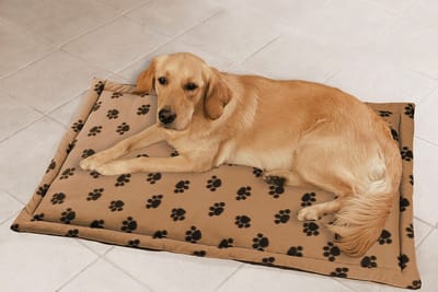 Wenko, multifunctioneel dierendeken, beige met potenpatroon, 75 x 120cm
