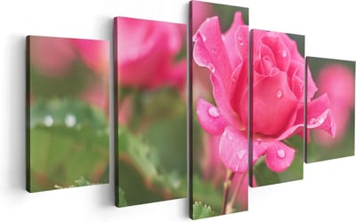Artaza Canvas Schilderij Vijfluik Roze Roos Met Waterdruppels - 100x50 - Foto Op Canvas - Canvas Print