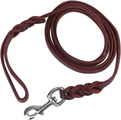 Dailygoods- Hondenriem 1,6 m - Lederen Hondenleidriem - Veiligheidskoord - Hondenhalsband/Riem - Duurzaam Materiaal - Karabijnsluiting - Hondenlijn