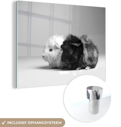 MuchoWow® Glasschilderij 80x60 cm - Schilderij acrylglas - Twee kleine cavia's - zwart wit - Foto op glas - Schilderijen