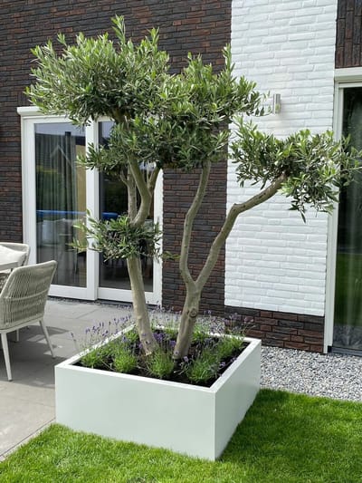 GLM Plantenbak Amsterdam zonder bodem 100x100x40cm
