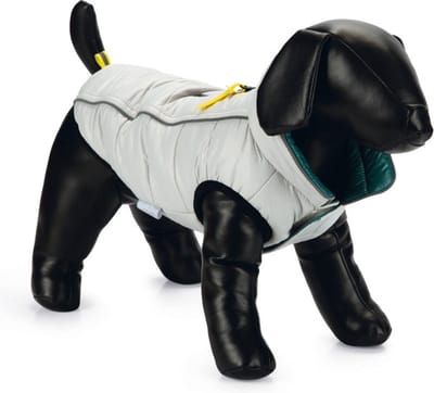 Beeztees Maly - Hondenjas - Waterafstotend - Twee kanten draagbaar - Kleur: Lichgrijs/Groen - 32 cm