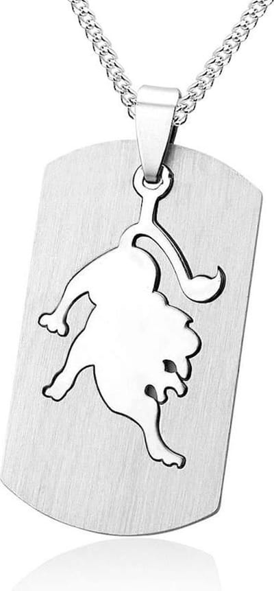 Montebello Ketting Leeuw - 316L Staal - Horoscoop - 50x22mm - 50cm