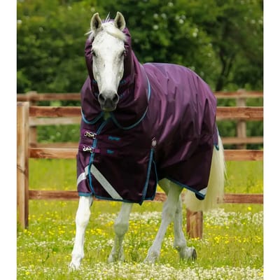 Outdoor paardendeken met halsbedekking Premier Equine Titan 200 g