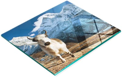 Keuken serveerplank van gehard glas met afbeelding van een bergjak, 60x52 cm