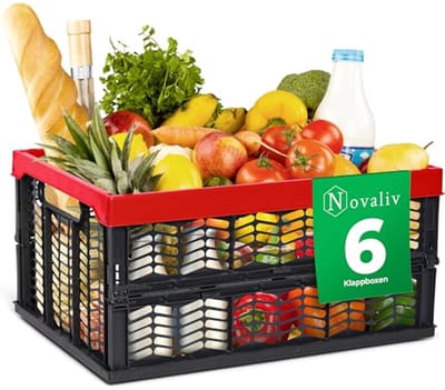 Vouwdozen Set van 6 - Opvouwbaar en Stabiel, 30 Liter - Boodschappenkisten voor Opslag en Transport