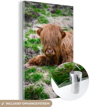 MuchoWow® Glasschilderij 100x150 cm - Schilderij acrylglas - Schotse Hooglander - Hooi - Gras - Foto op glas - Schilderijen