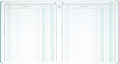 Exacompta 5x Standaard register Ontvangsten - Uitgaven - 80 blad - Nederlandstalig - - 1930X