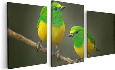 Artaza Canvas Schilderij Drieluik Twee Groen Gele Zangvogels Op Een Tak - 120x60 - Foto Op Canvas - Canvas Print