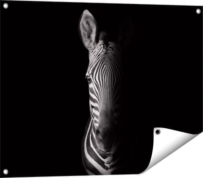Gards Tuinposter Halve Zebra - Zwart Wit - 80x60 cm - Tuindoek - Tuindecoratie - Wanddecoratie buiten - Tuinschilderij