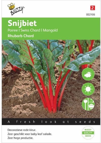 Buzzy® Bieten Red Chard Micro Leaf