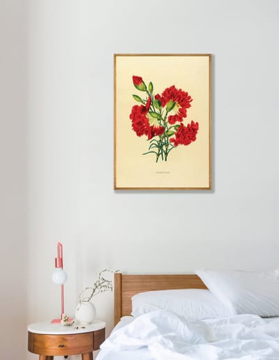 Anjer Bloem Vintage Poster 30x40 cm