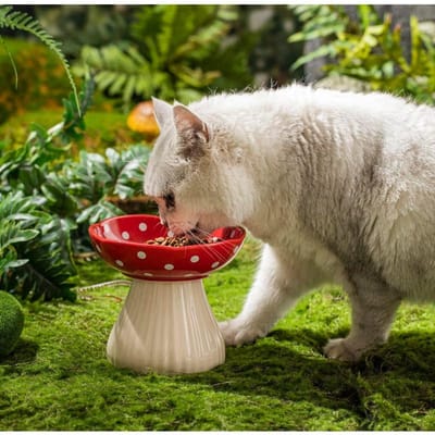 Paddenstoel Verhoogde Kattenbak Schattige Polkadot Veiligheid Keramiek Verhoogde Kattenbak Kat Puppy Eten Waterbak Ceramic rood