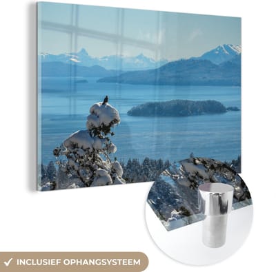 ® Glasschilderij 180x120 cm - Schilderij acrylglas - Vogel op naaldboom bij het Zuid-Amerikaanse Nahuel Huapi meer in Argentinië - Foto op glas - Muurdecoratie woonkamer - Wanddecoratie slaapkamer - Schilderijen