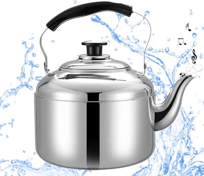 Theeketel met fluit - Waterketel - Water koken - Roestvrij staal - 10 liter - Zilver