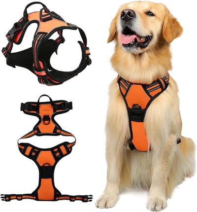 Verstelbare Plus Size Reflecterende Hondenharnas voor Anti-Trekken, Robuust en Comfortabel voor Wandelen en Training, Oranje, L