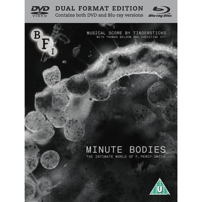 Minute Bodies