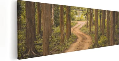 Artaza Canvas Schilderij Bospad - 60x20 cm - Wanddecoratie Natuur - Muurdecoratie Bomen - Kamer Accessoires Woonkamer