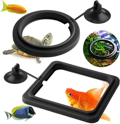 Visvoer Ringen voor Aquarium - 2 Stuks Voederaccessoires voor Guppy's, Betta's en Goudvissen
