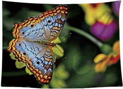 Ulticool Vlinder Bloemen Natuur - Wandkleed Poster - 200x150 cm - Groot wandtapijt - Tuinposter Tapestry - Schilderij Decoratie Tuin Versiering Accessoire - Idee voor Vrouw voor Moeders