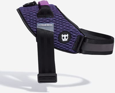 Zee.Dog Flyharnass Wicked Paars&Zwart - Hondenharnas - 34-45 Cm