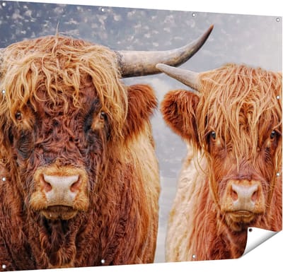 Gards Tuinposter Schotse Hooglander Koppel - Man en Vrouw - 150x120 cm - Tuindoek - Tuindecoratie - Wanddecoratie buiten - Tuinschilderij
