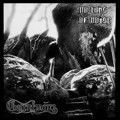 Gurnemanz - No Rays Of Noise (LP)