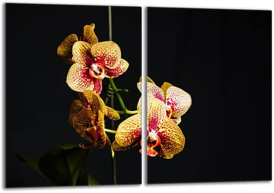TMK ArtDeko Orchidea Serie - Glazen Beschermplaat - 40x52cm - Snijplank - Veilig en Hygiënisch