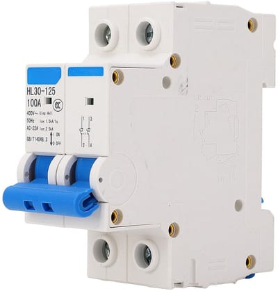 Allecto - Scheidingsschakelaar - Miniatuurstroomonderbreker - Veilig en betrouwbaar - 2-polig - Isolator - 100A - Geschikt voor thuis en kantoor - ...