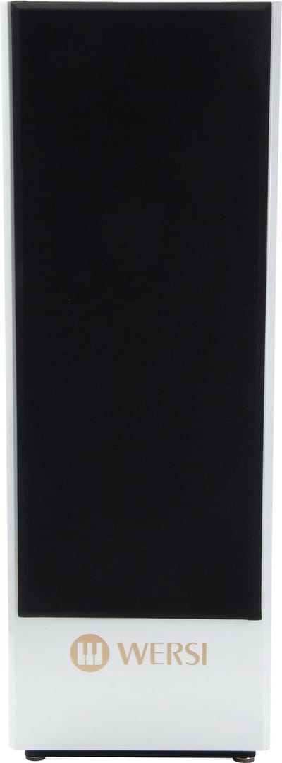 Wersi TS9000 - Keyboard versterker