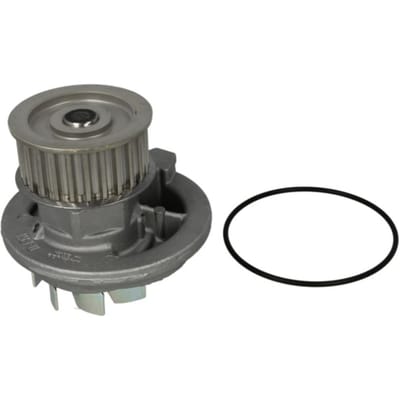Waterpomp HEPU P316