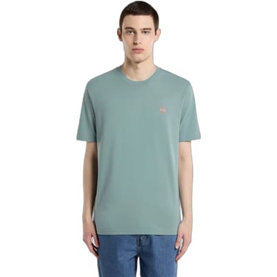 T-shirt Korte Mouw Dickies MAPLETON SS TEE STORMY SEA