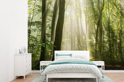 Behang - Fotobehang Bos - Licht - Natuur - Landschap - Breedte 415 cm x hoogte 300 cm